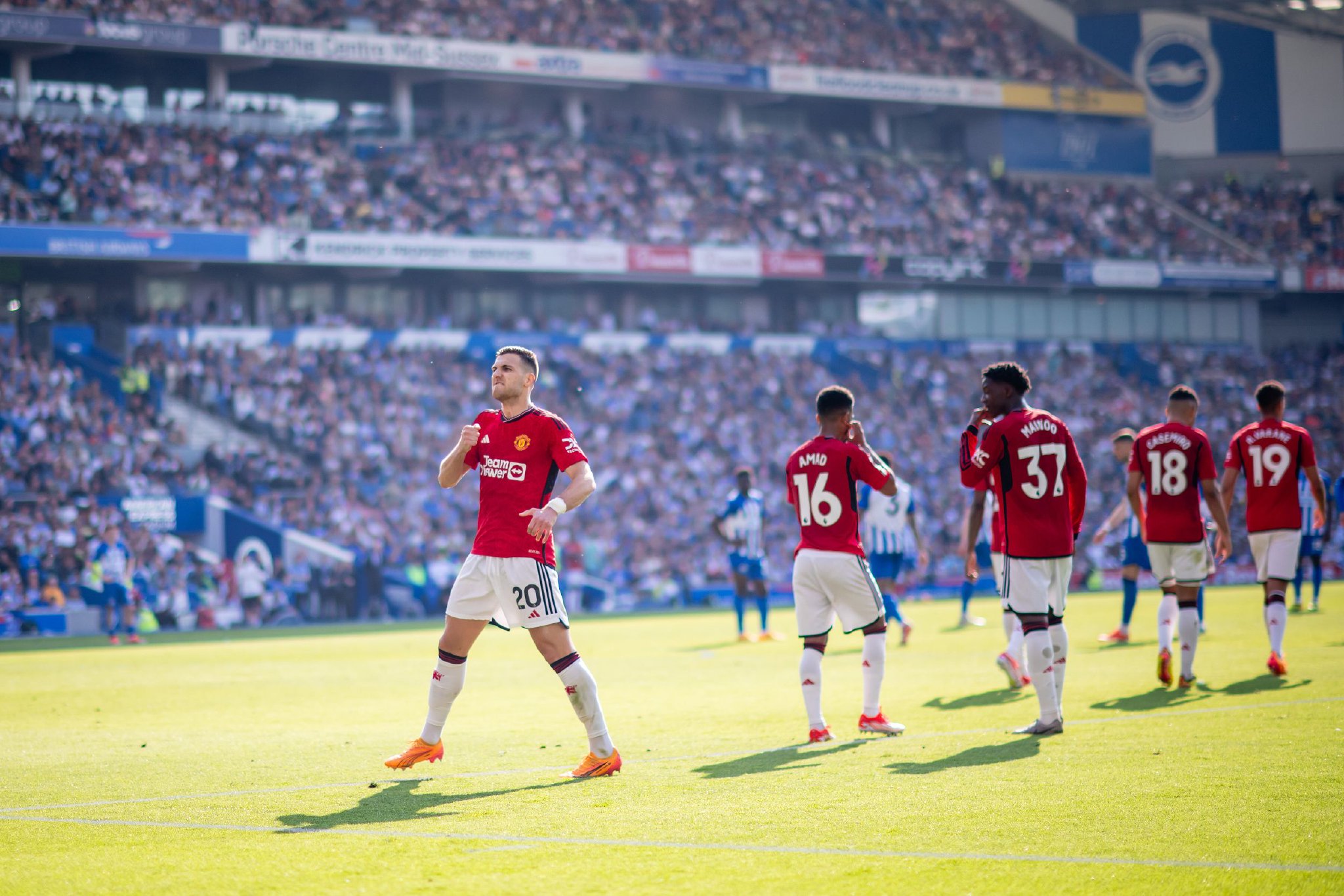 仅提升了沙 仅提升了沙